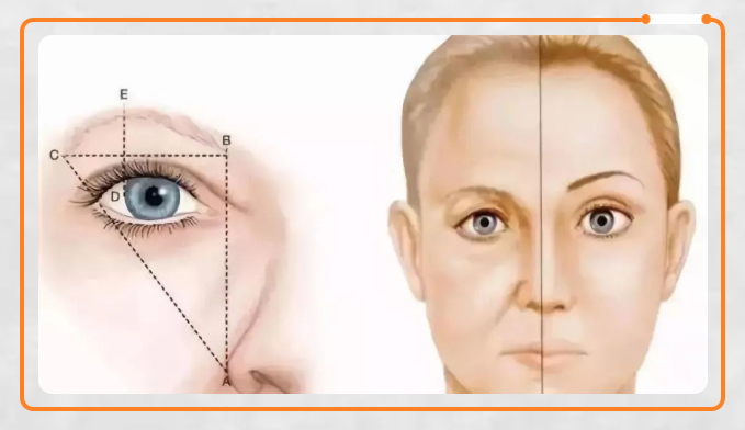「小切口 」到底有效果吗? 「小切口 」到底有效果吗?