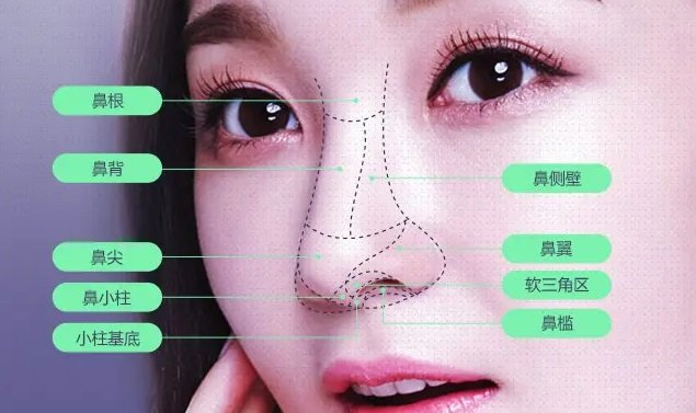 鼻整形为什么那么难？