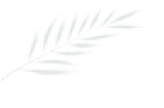 1735255264135885.gif 微信图片_20241227071947.gif