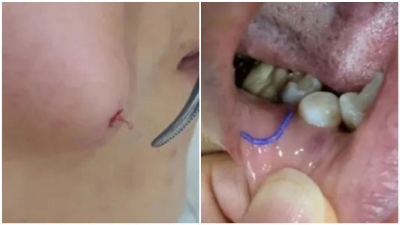 1739235892108710.jpg 微信图片_20250211090338.jpg