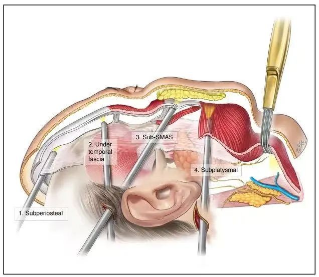 1742779195333621.jpg 微信图片_20250324085826.jpg
