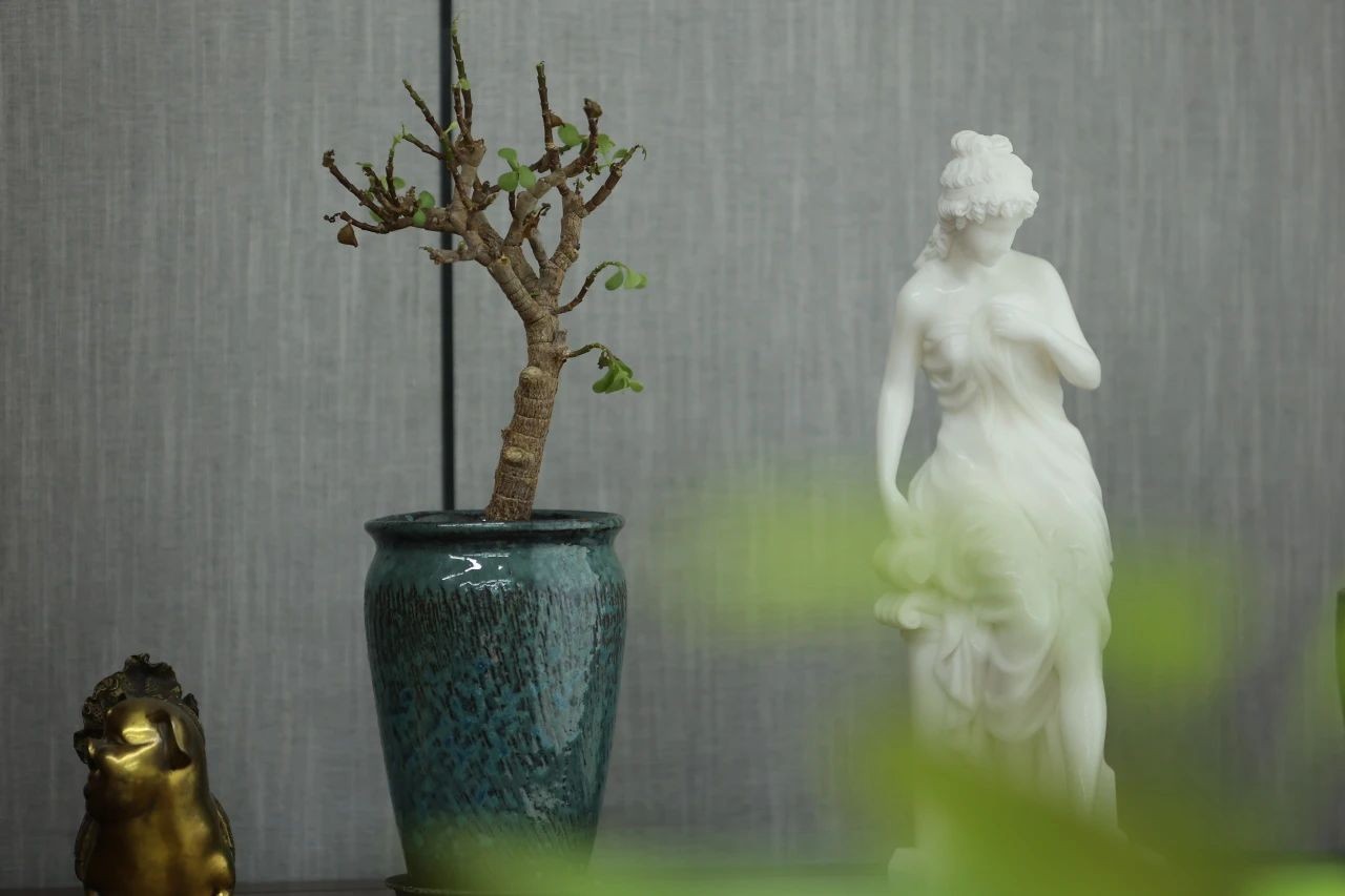 1749192539139731.jpg 微信图片_20250606144731.jpg