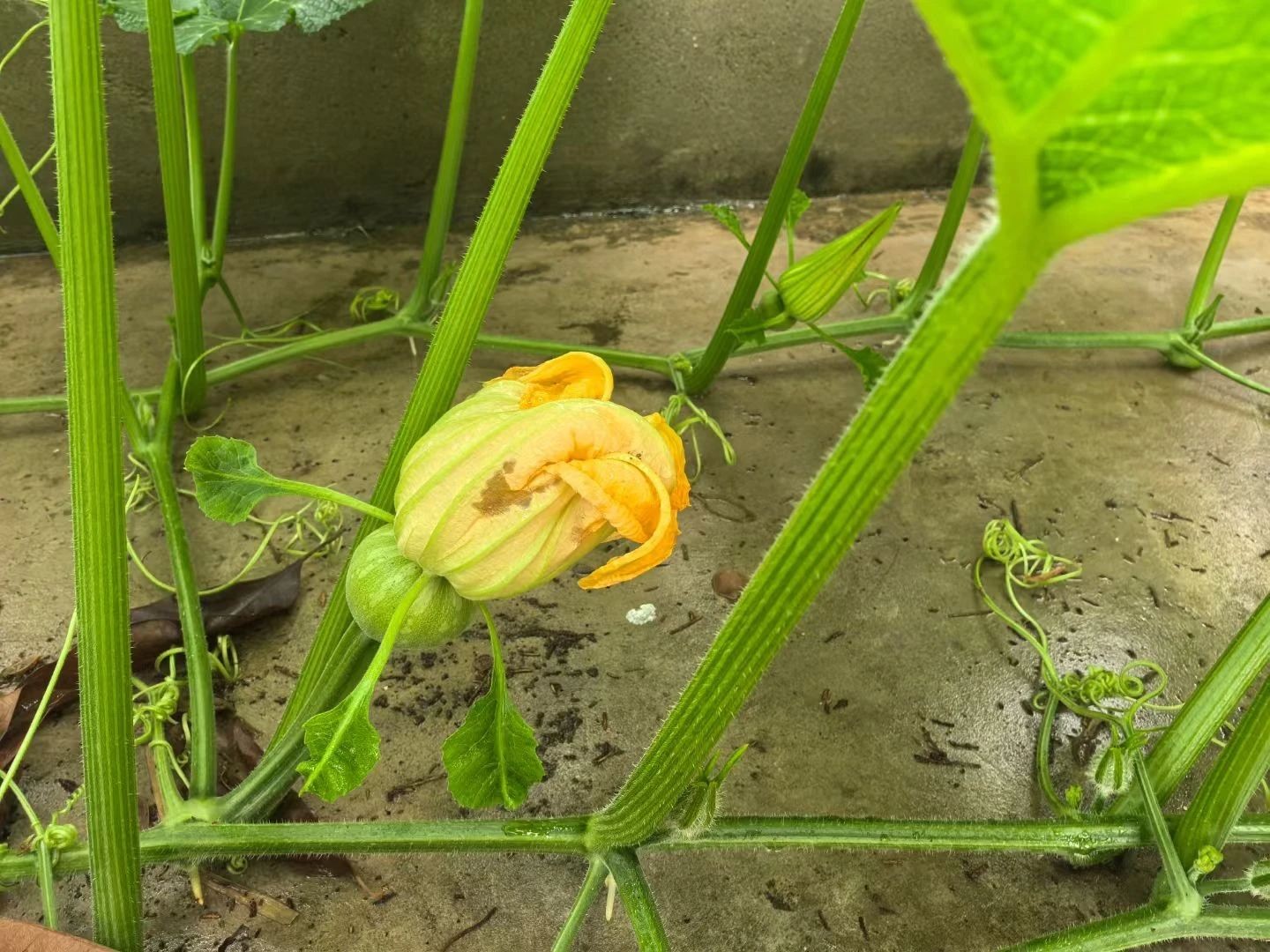 1749965072558596.jpg 微信图片_20250615132201.jpg