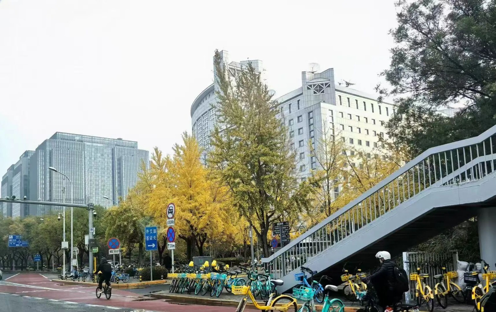 1762735200200270.jpg 微信图片_2025-11-10_083637_064.jpg