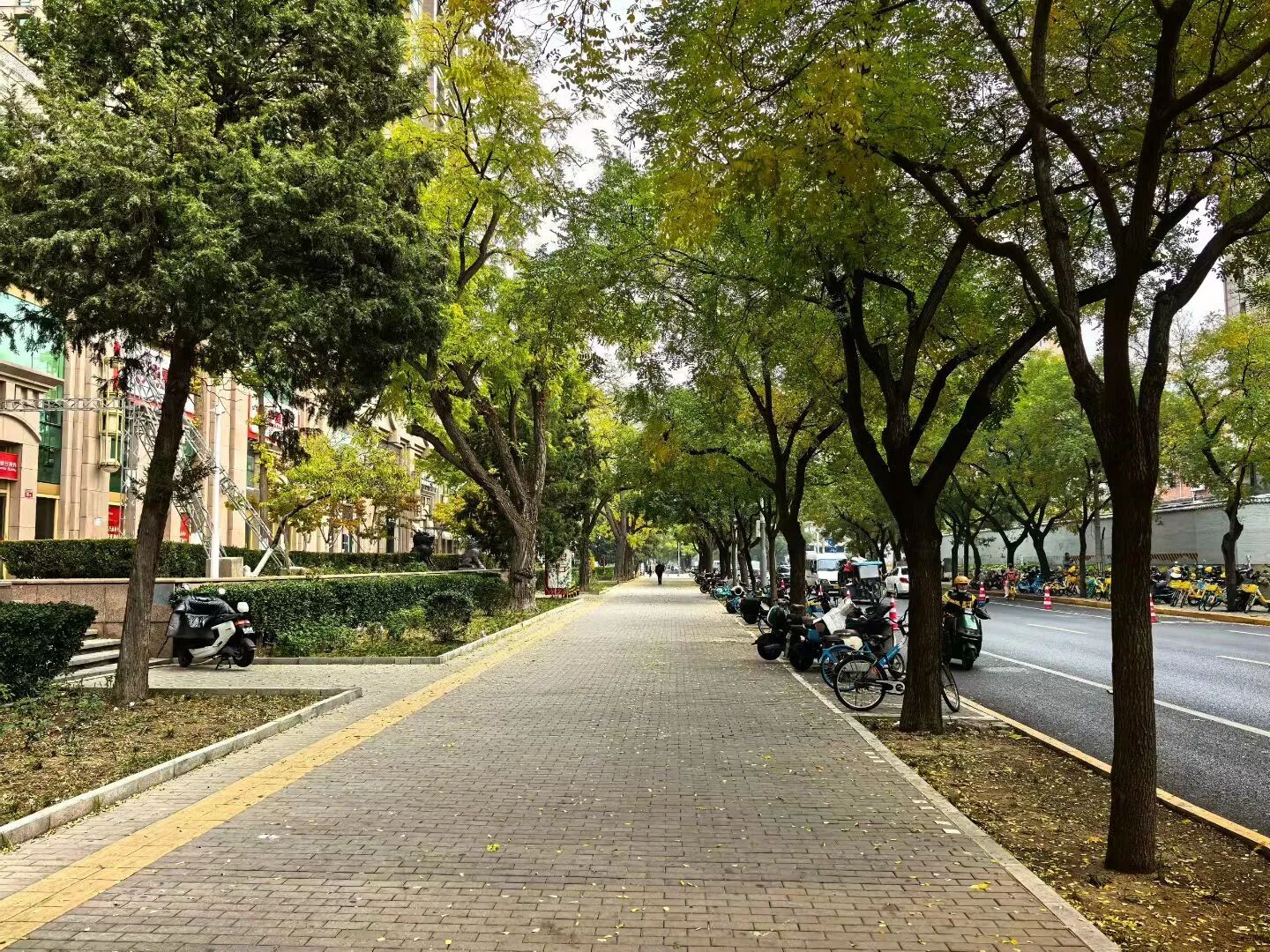 1762735243720835.jpg 微信图片_2025-11-10_083640_492.jpg