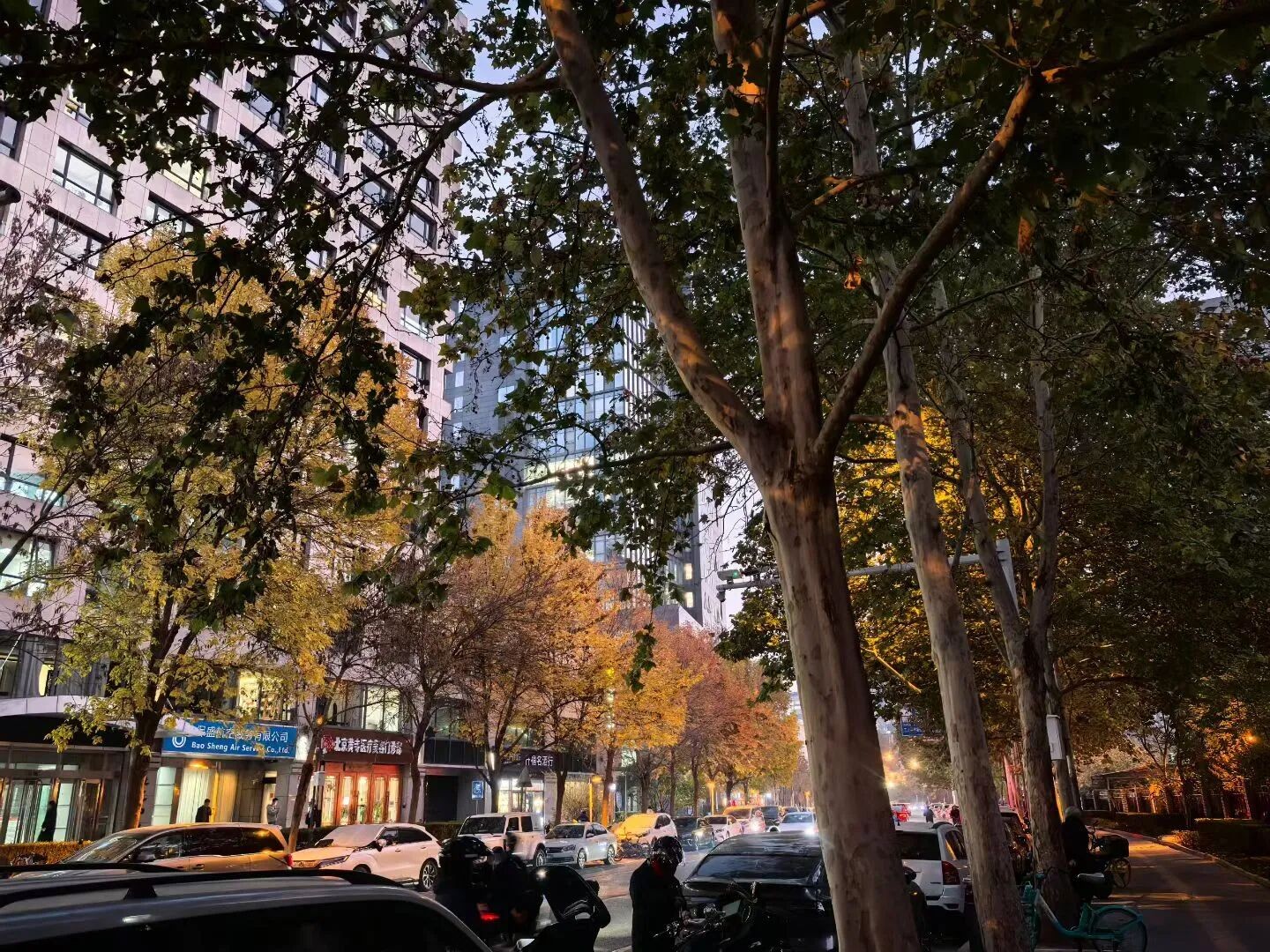 1762735254130283.jpg 微信图片_2025-11-10_083642_766.jpg