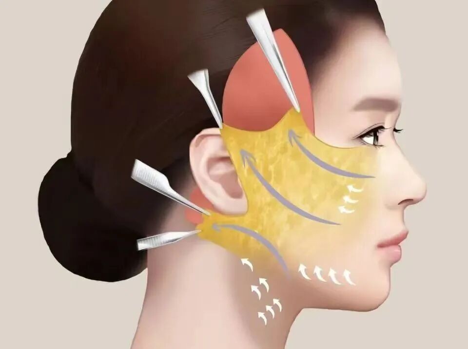 1764503763167193.jpg 微信图片_2025-11-30_195055_716.jpg