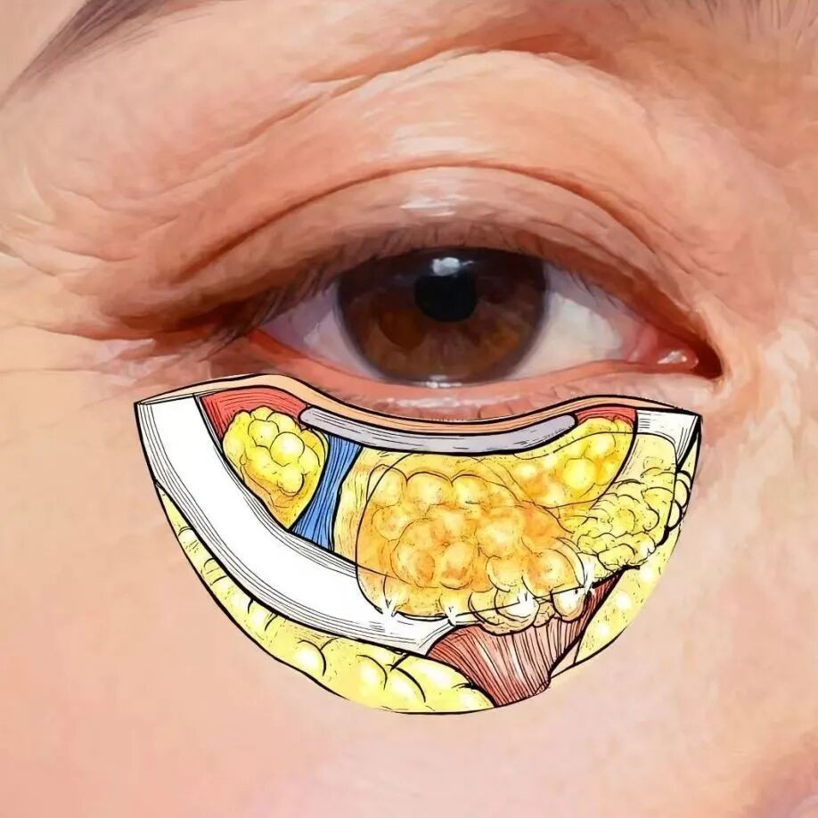 1765936746713858.jpg 微信图片_2025-12-17_095126_423.jpg