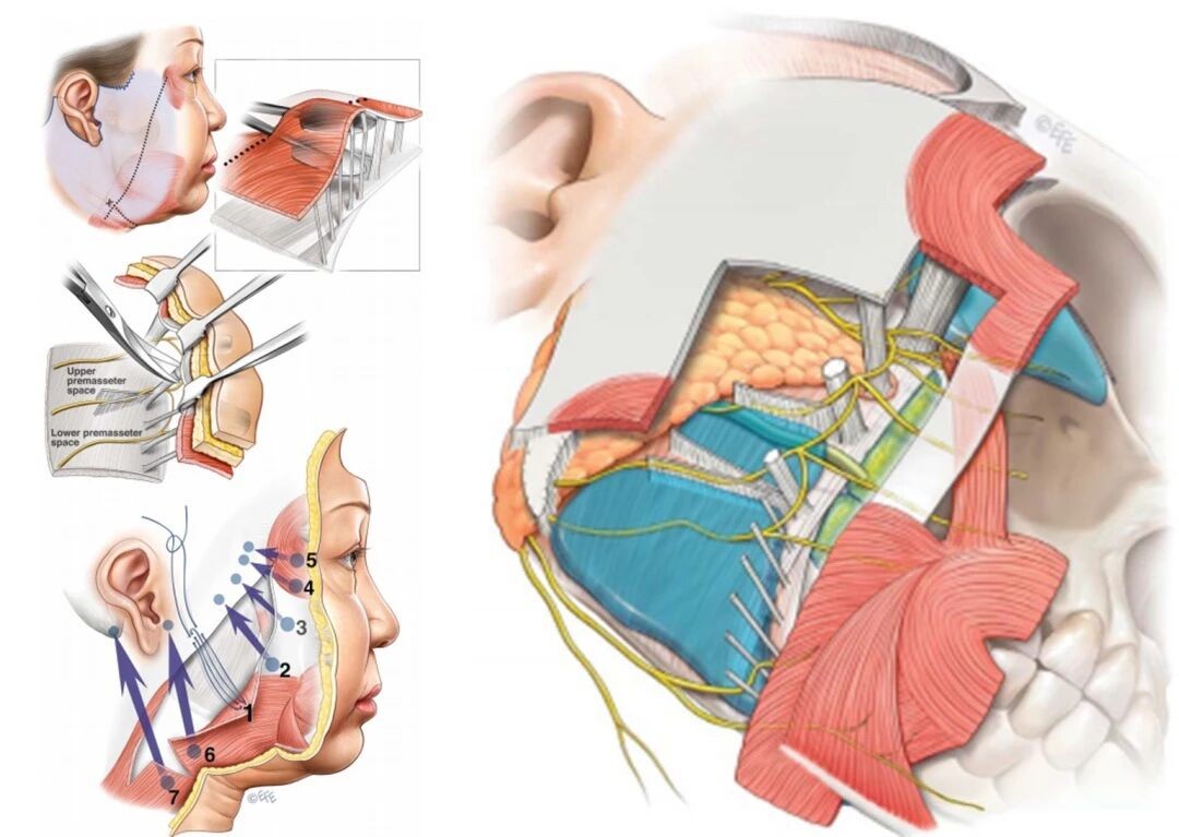 1771040292968316.jpg 微信图片_2026-02-14_113641_594.jpg