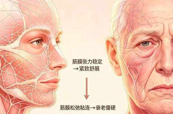 1788174382131755.jpg 微信图片_2026-08-31_190527_318.jpg